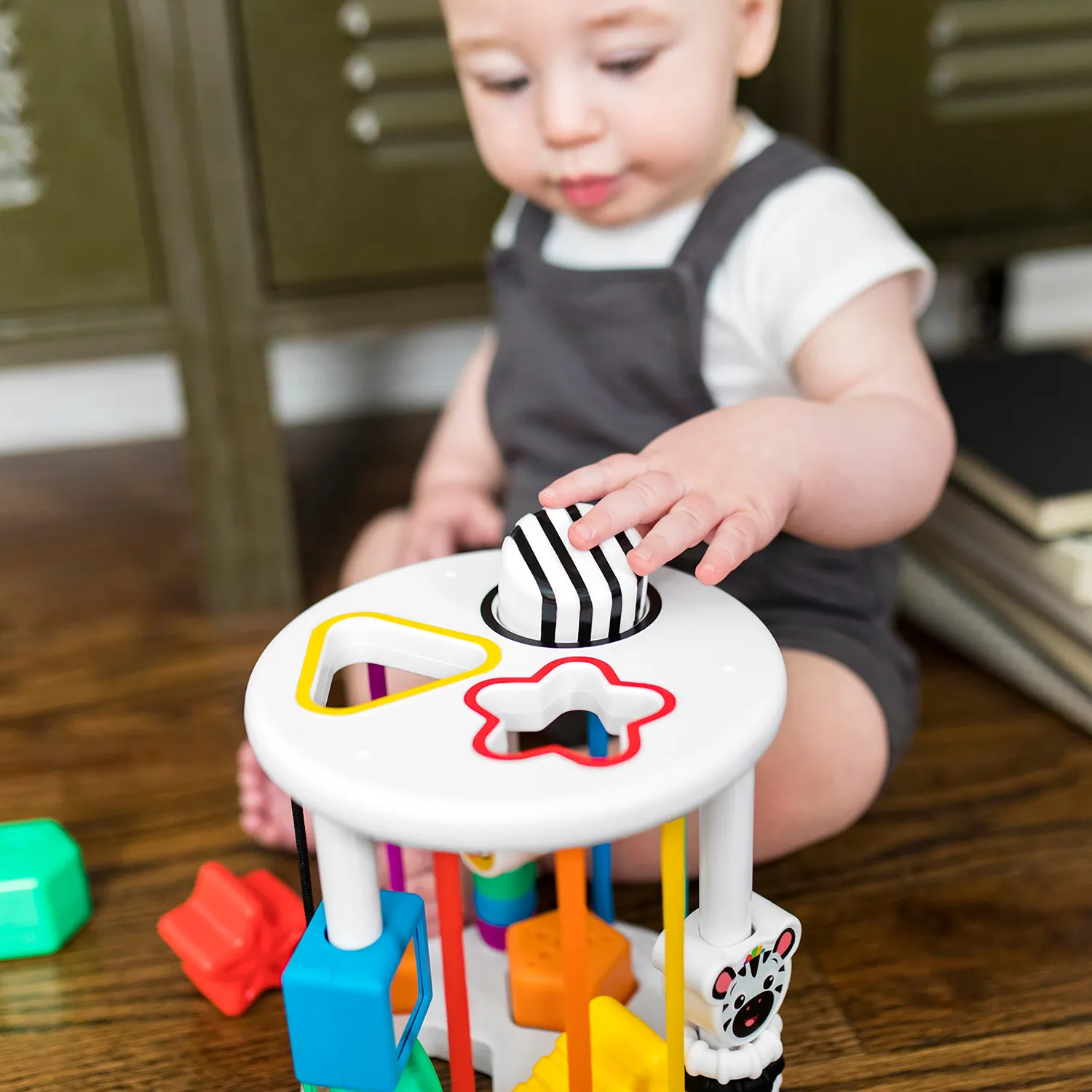 Baby Einstein Zen & Cal's Playground Formensortierer 6 Teile