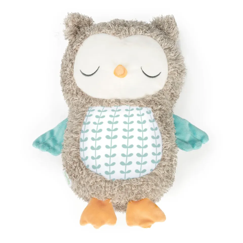 Ingenuity Snuggle Sounds Nally Eule Kuscheltier Bluetooth