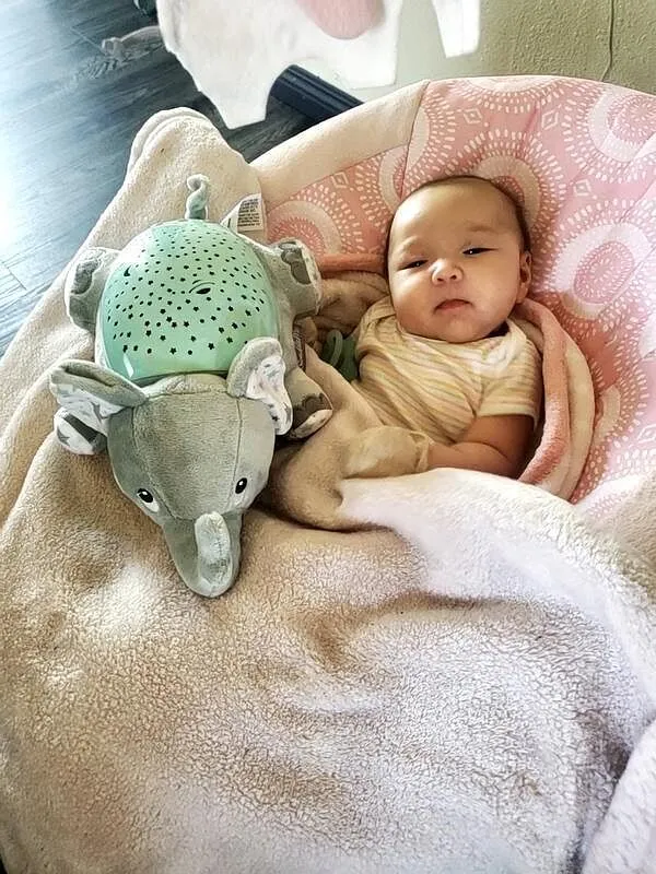 SwaddleMe Slumber Buddies Elefant Nachtlicht grau-mint