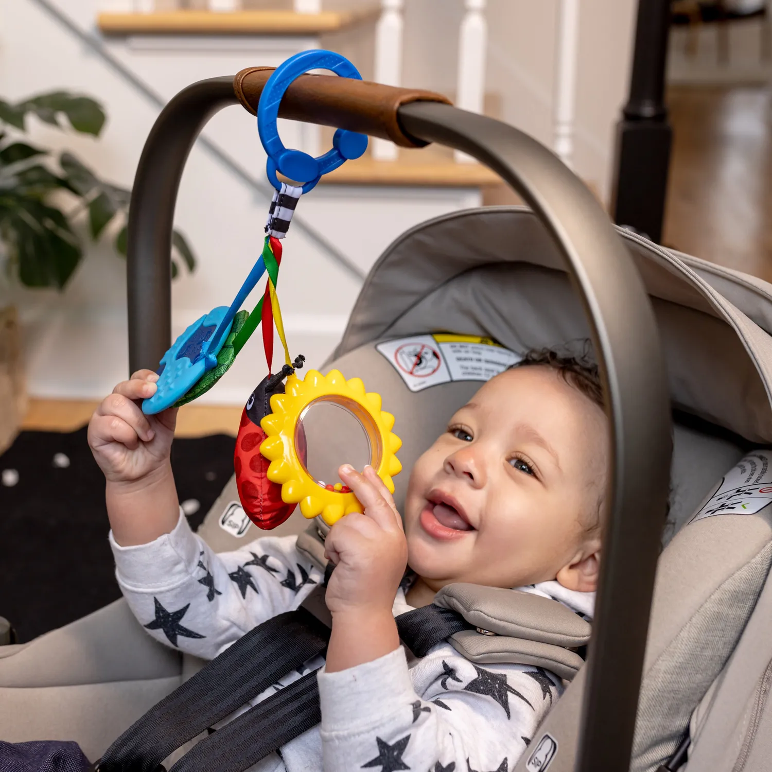 Baby Einstein Touch of Nature Sensorikspielzeug 4er Set ab Geburt