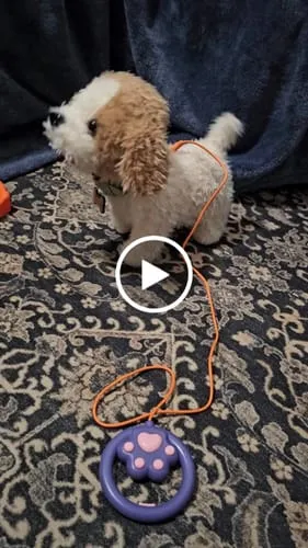 TUMAMA Plüschhund läuft und bellt mit Leine und Zubehör