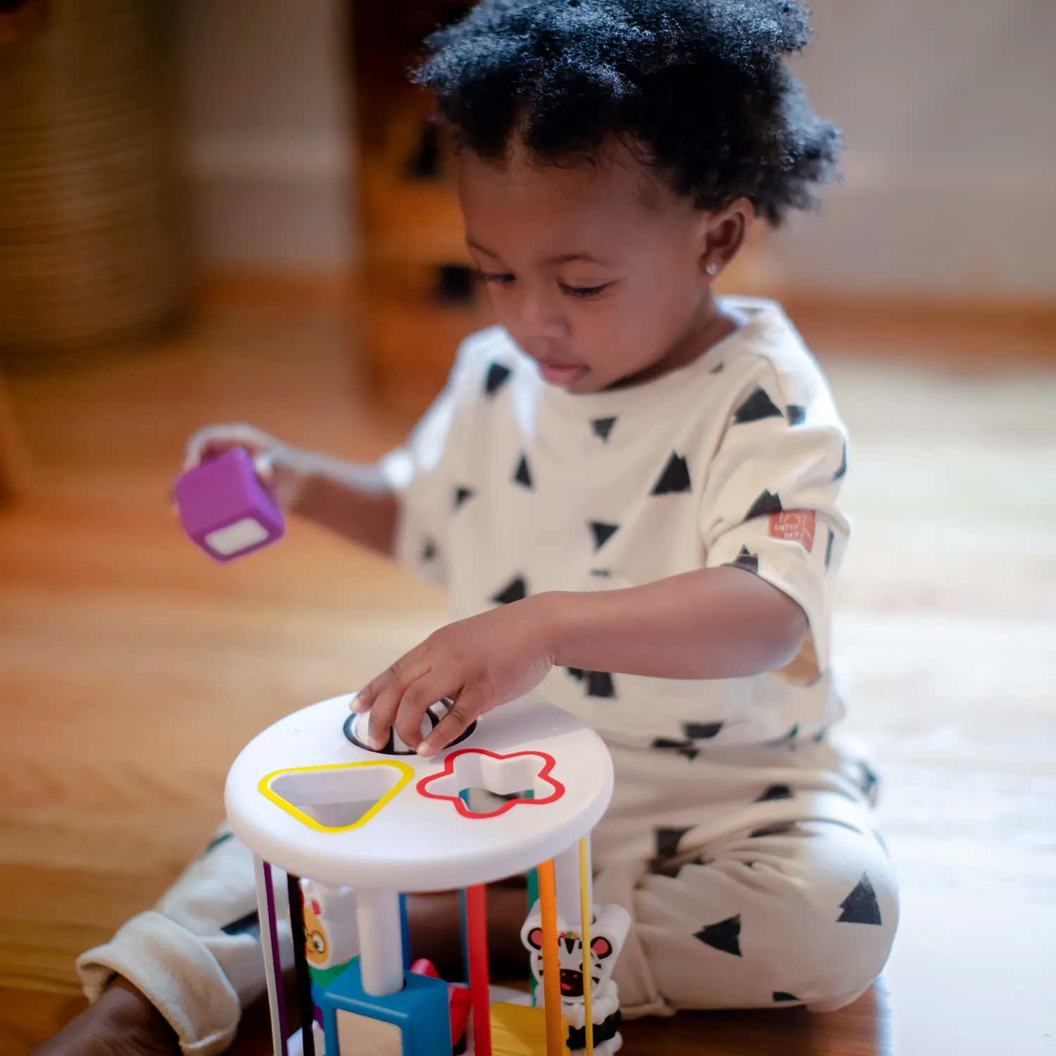 Baby Einstein Zen & Cal's Playground Formensortierer 6 Teile