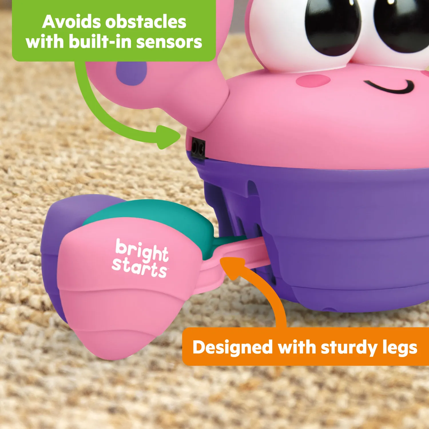 Bright Starts Rockin Crawling Crab Krabbelspielzeug Pink mit Musik