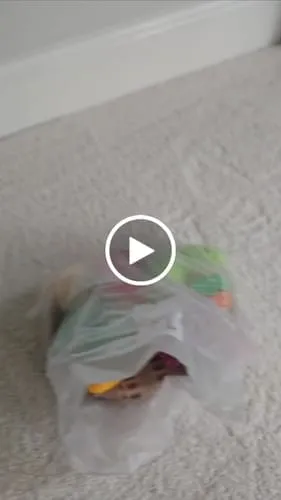 TUMAMA Plüschgemüse Set 7-teilig sensorisch mit Korb