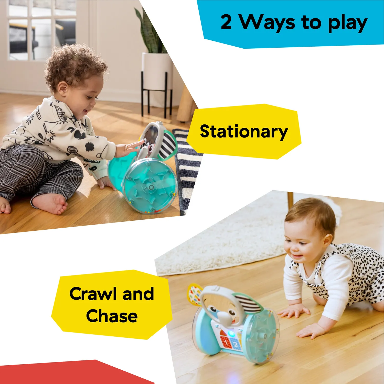 Baby Einstein Chase & Tap Earl Krabbelspielzeug mit Musik