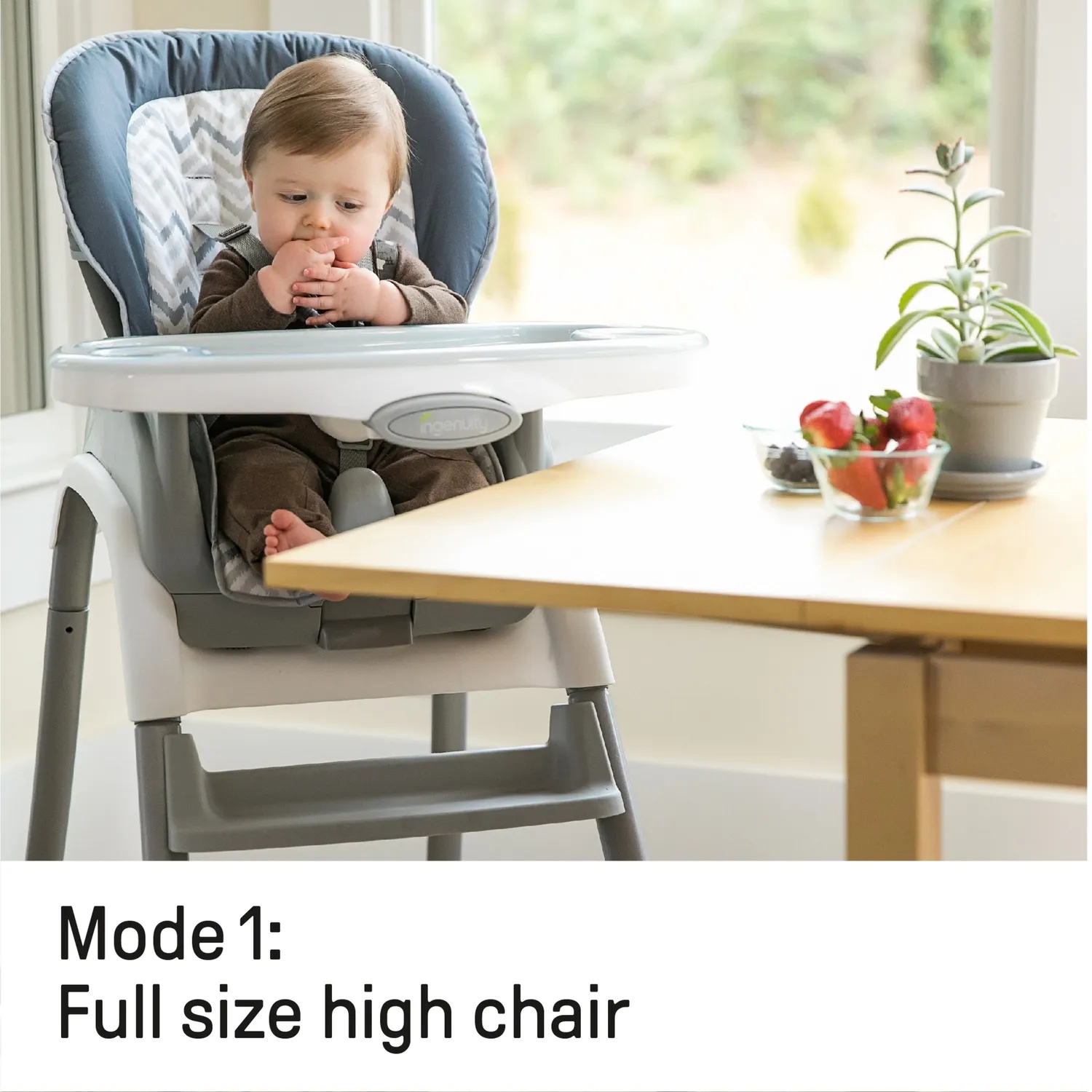 Ingenuity Trio Elite Braden 3-in-1 Hochstuhl Slate mitwachsend