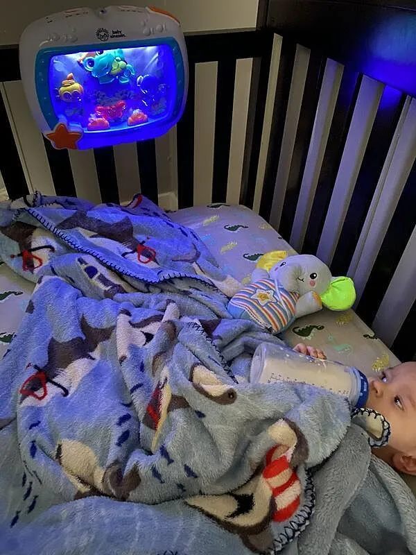 Baby Einstein Sea Dreams Soother Einschlafhilfe mit Licht