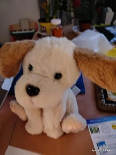 TUMAMA Plüschhund singt und spricht mit Aufnahme
