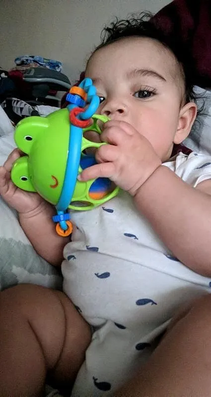 Oball Jingle & Shake Pal Babyrassel Frosch grün griffig