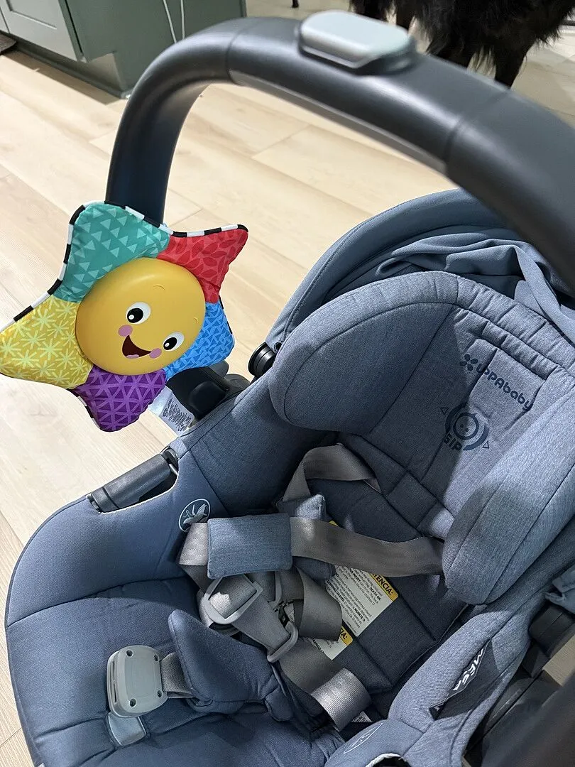 Baby Einstein Star Bright Symphony Stern Plüschtier mit Musik