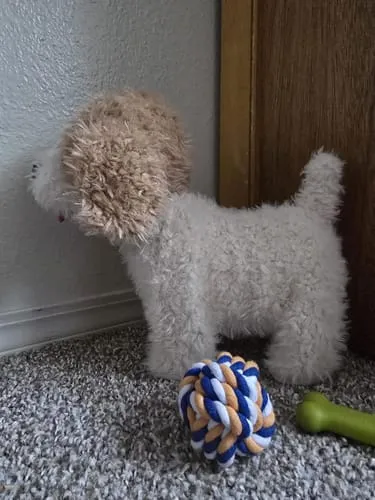 TUMAMA Plüschhund läuft und bellt mit Leine und Zubehör