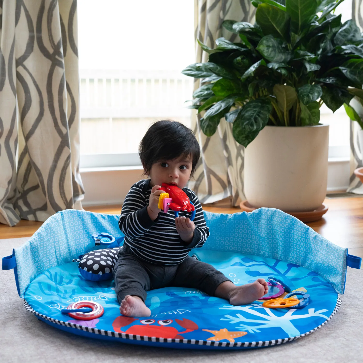 Baby Einstein Neptune Spielbogen Unterwasser mit Musik