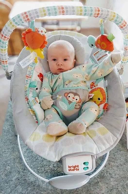 Bright Starts Whimsical Wild Babywippe Vibration