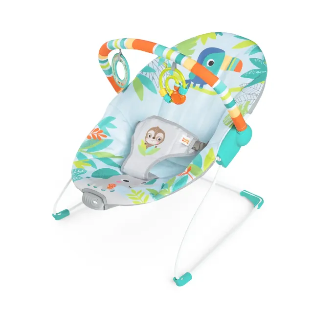 Bright Starts Rainforest Vibes Babywippe Vibration
