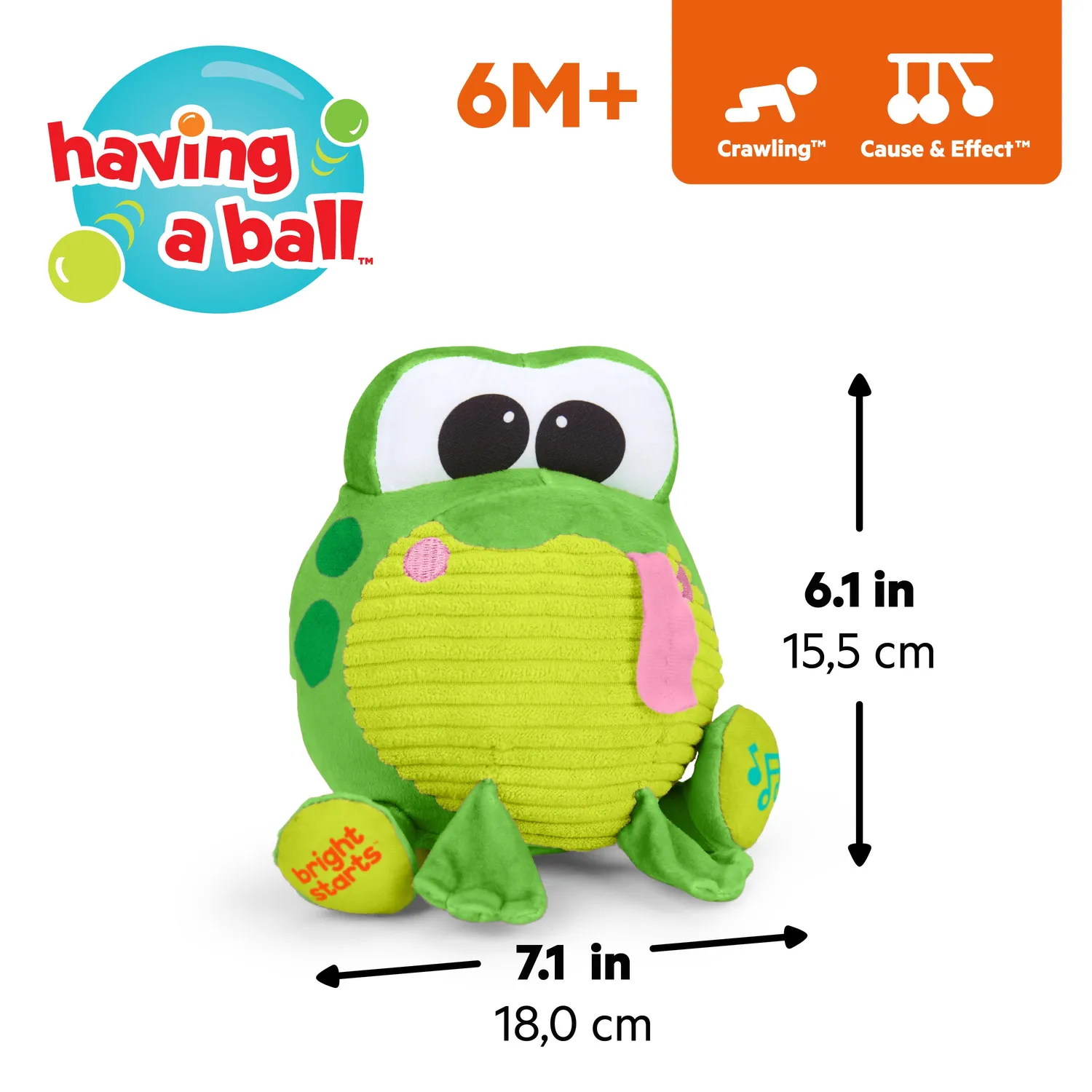 Bright Starts Bop Around Frog Plüschspielzeug mit Musik