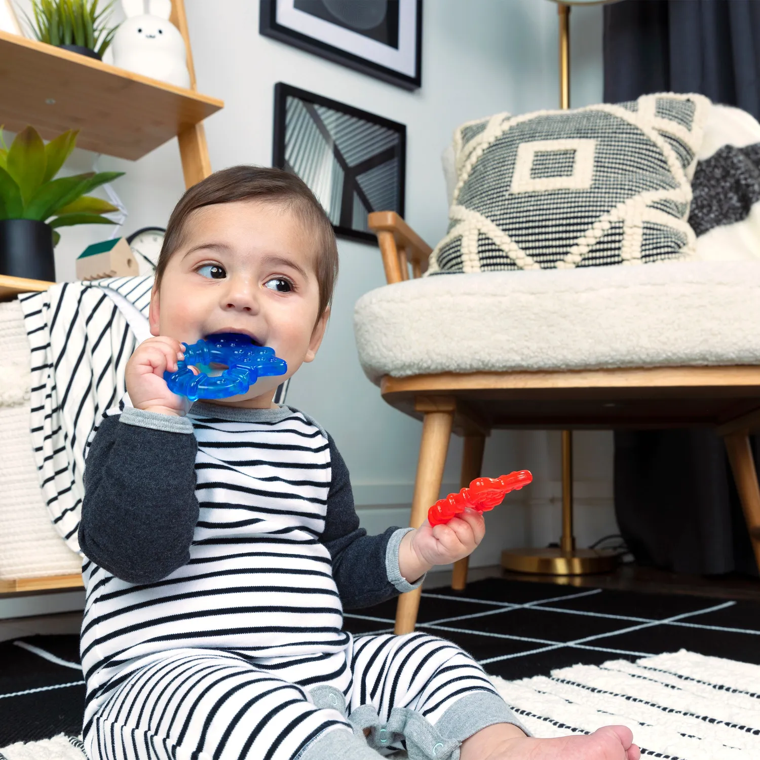 Baby Einstein Ocean Explorers Beissring Set 4-teilig kühlbar