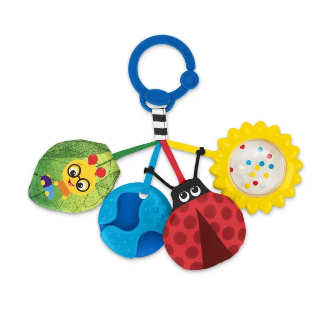 Baby Einstein Touch of Nature Sensorikspielzeug 4er Set ab Geburt