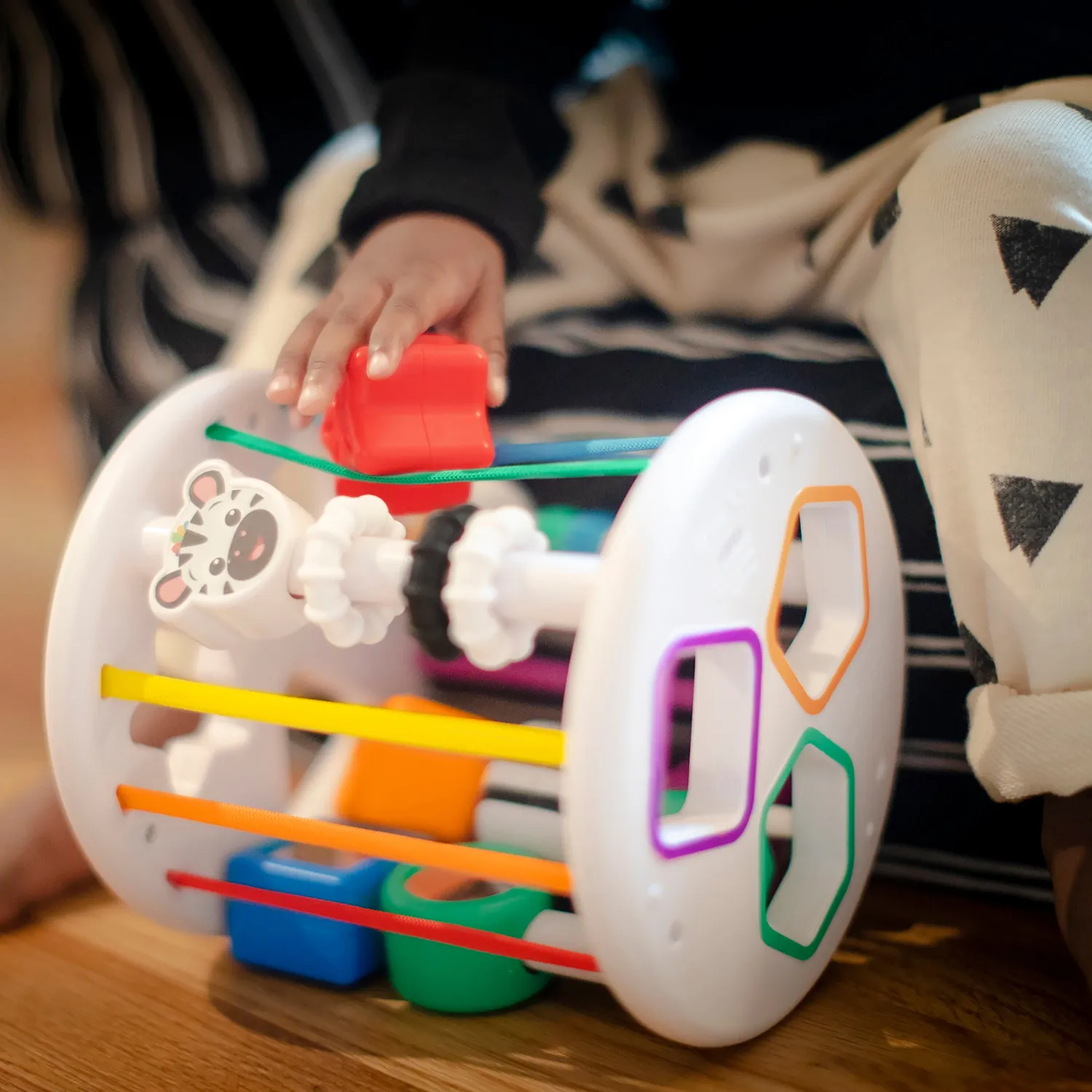 Baby Einstein Zen & Cal's Playground Formensortierer 6 Teile