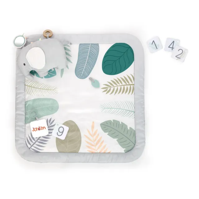 Ingenuity Sprout Spot Spieldecke 101cm mit Meilensteinkarten