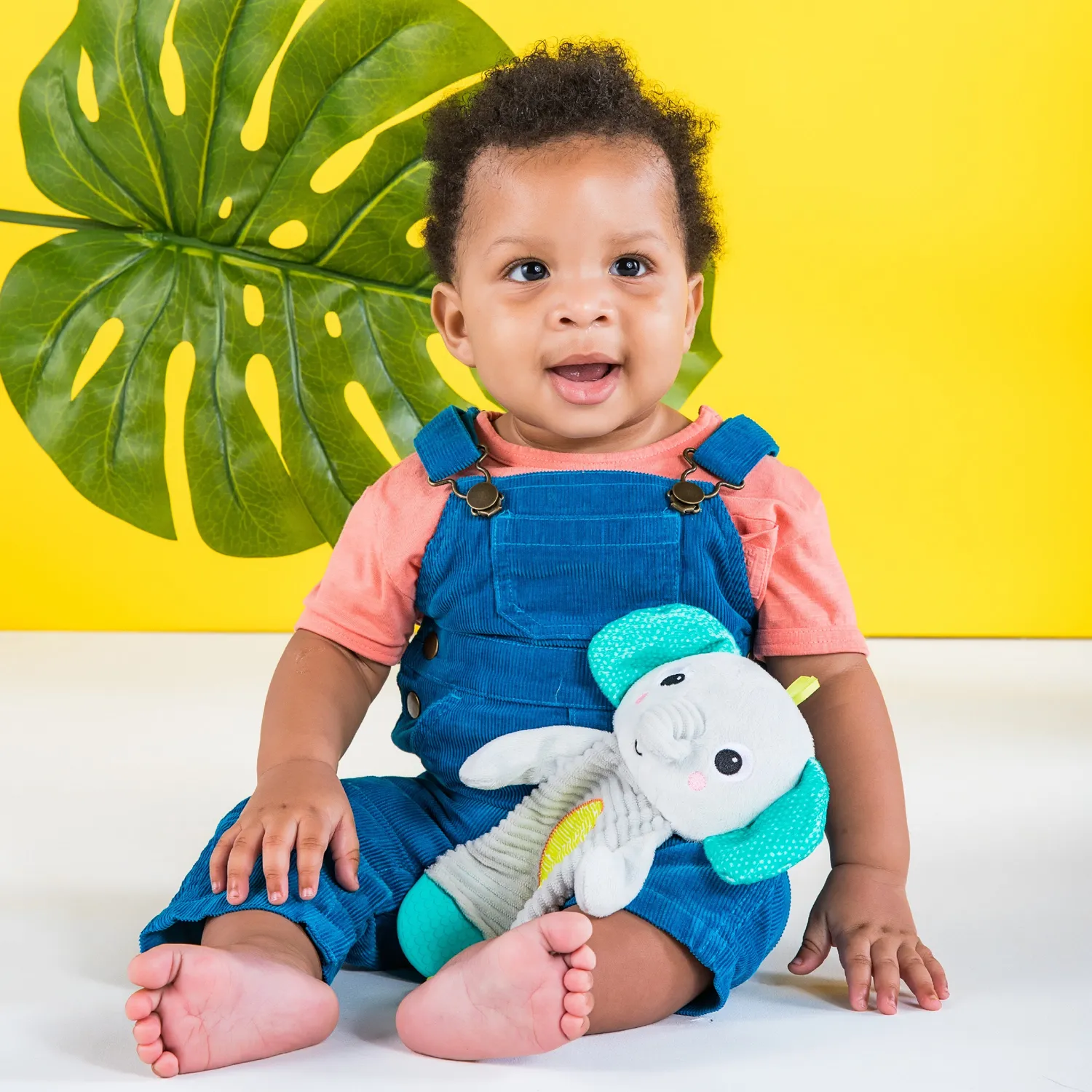 Bright Starts Snuggle Teethe Kuschelelefant mit Beibring knisternd