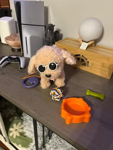 TUMAMA Laufhund Interaktives Plüsch-Spielzeug Leine