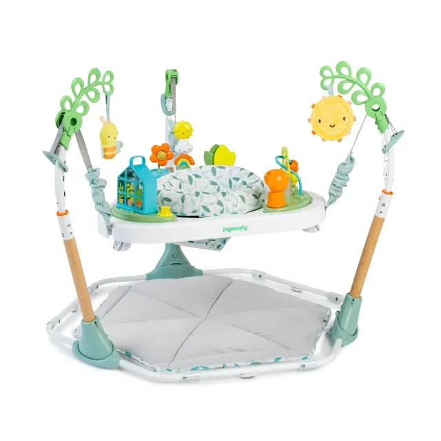Ingenuity Tummy-to-Toes 6-in-1 Spielcenter 0-48 Monate
