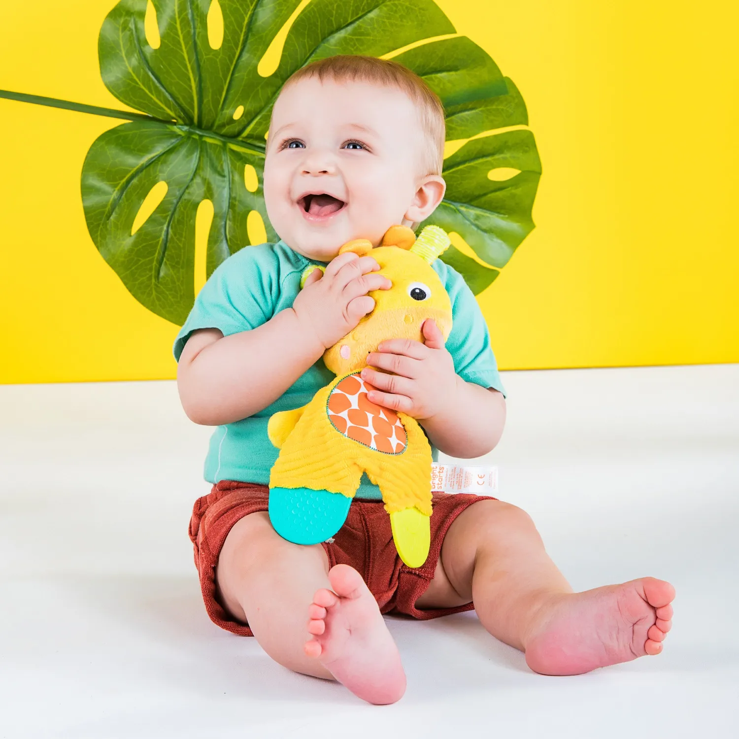 Bright Starts Snuggle & Teethe Beissring Giraffe Plüsch