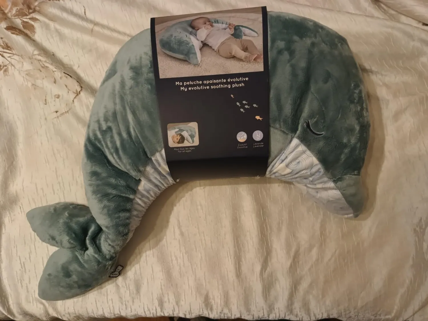 Kaloo Petit Calme Plüschdelfin Kuscheltier 60 cm grün